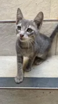 Mia