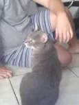 Não tem nome