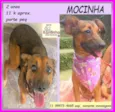 Mocinha