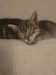 Julio Cesar e Felipe