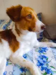Mia
