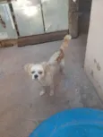 Não sei o nome