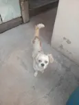 Não sei o nome