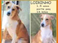 Loirinho