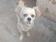 Não sei o nome