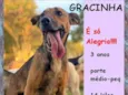 Gracinha