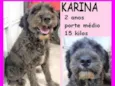 Karina