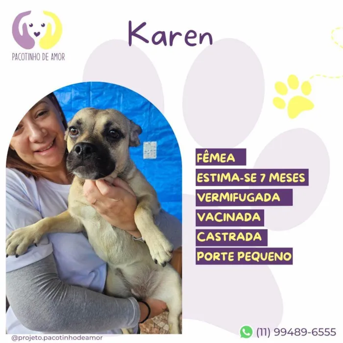 Cachorro ra a SRD-ViraLata idade 7 a 11 meses nome Karen