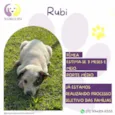 Rubi