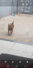 Marley