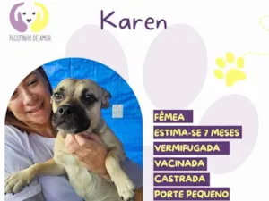 Cachorro raça SRD-ViraLata idade 7 a 11 meses nome Karen