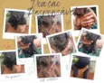 9 cães