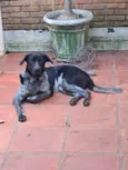 BANZÉ