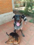 BANZÉ