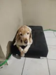 Marley