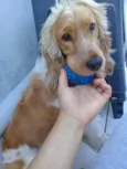 Marley