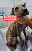 Canela