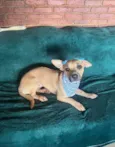 Tina