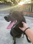 Zoe