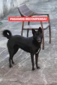 Zoe