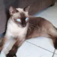 Bruce