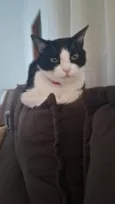 Bella