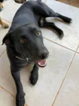 Djalma