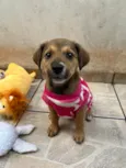 Minnie