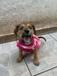 Minnie