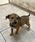 Minnie