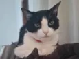 Bella