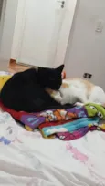 Lilith e Gema