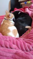 Lilith e Gema