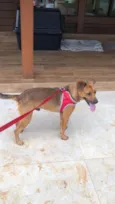 Melo