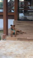 Melo