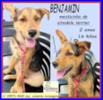 Benjamin