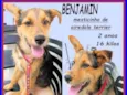 Benjamin