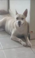 Penelope
