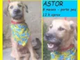 Astor