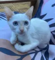 Lilah