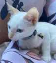 Lilah