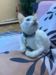 Lilah