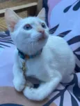Lilah