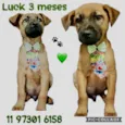 Luck
