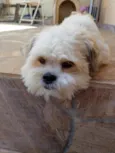Tom