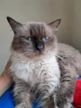 Tom