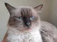 Tom