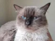 Tom