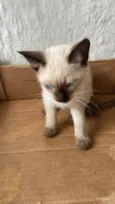 Pablo