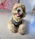 Fred